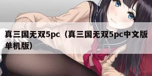 真三国无双5pc（真三国无双5pc中文版单机版）