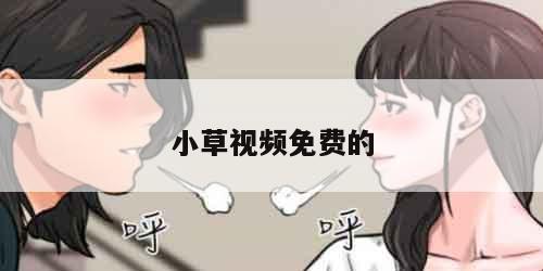 小草视频免费的
