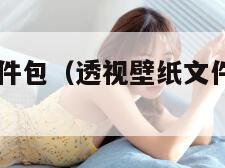 透视壁纸文件包（透视壁纸文件包大全2024）