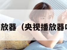 cctv播放器（央视播放器叫什么）