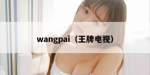 wangpai（王牌电视）