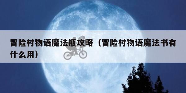 冒险村物语魔法瓶攻略（冒险村物语魔法书有什么用）