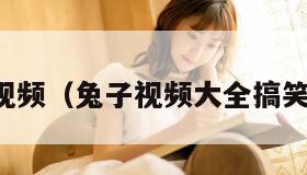 兔子视频（兔子视频大全搞笑可爱）