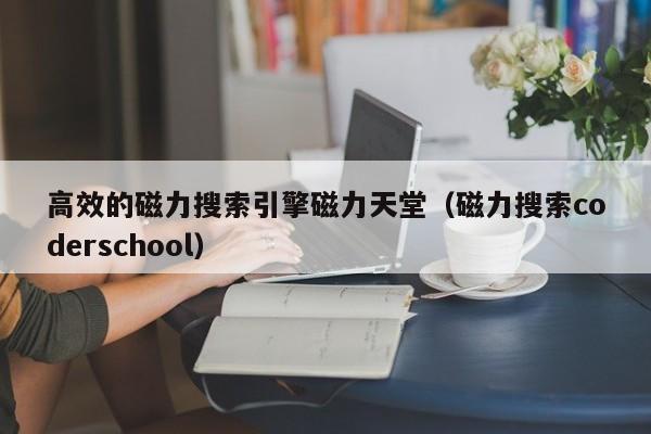 高效的磁力搜索引擎磁力天堂（磁力搜索coderschool）