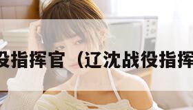 战役指挥官（辽沈战役指挥官）
