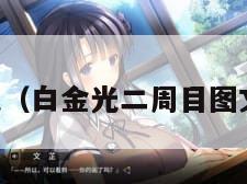 白金光（白金光二周目图文攻略）
