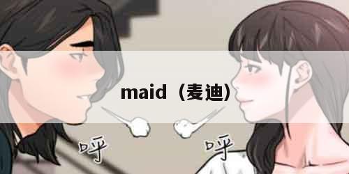 maid（麦迪）