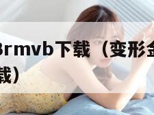 变形金刚3rmvb下载（变形金刚3下载 rmvb 下载）