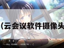 云会议软件（云会议软件摄像头视频看不见）