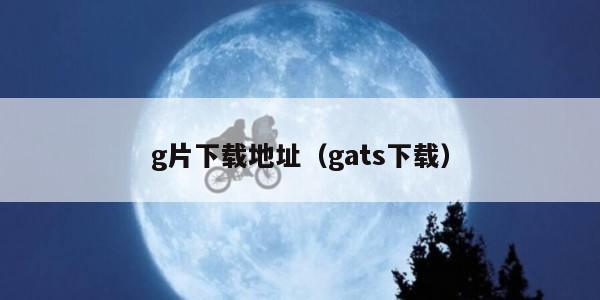 g片下载地址（gats下载）
