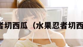 水果忍者切西瓜（水果忍者切西瓜玩具）