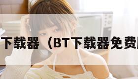 bt下载器（BT下载器免费版）
