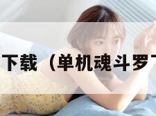 单机魂斗罗下载（单机魂斗罗下载安卓版）