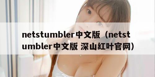 netstumbler中文版（netstumbler中文版 深山红叶官网）