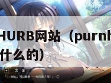 PURNHURB网站（purnhurb网站是干什么的）