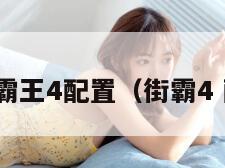 街头霸王4配置（街霸4 配置）