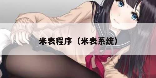 米表程序（米表系统）