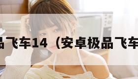 安卓极品飞车14（安卓极品飞车17原版）