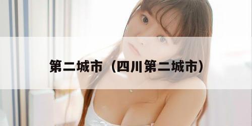 第二城市（四川第二城市）