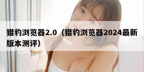 猎豹浏览器2.0（猎豹浏览器2024最新版本测评）