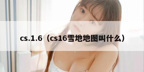 cs.1.6(cs16雪地地图叫什么)