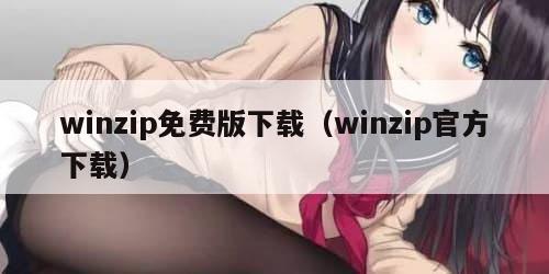 winzip免费版下载（winzip官方下载）