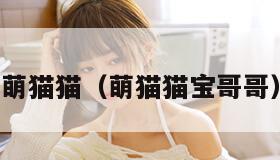 萌猫猫(萌猫猫宝哥哥)