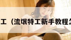 流氓特工（流氓特工新手教程怎么过）