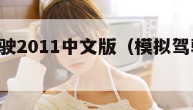 模拟驾驶2011中文版(模拟驾驶2011下载)