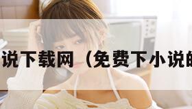 免费小说下载网（免费下小说的网站）