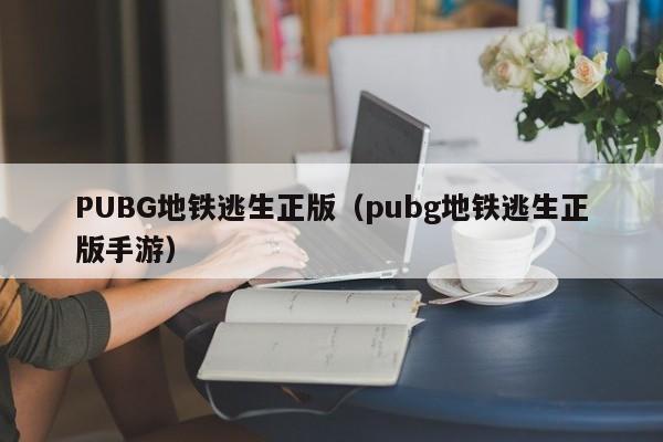 PUBG地铁逃生正版(pubg地铁逃生正版手游)