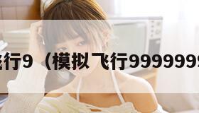 模拟飞行9（模拟飞行9999999金币）