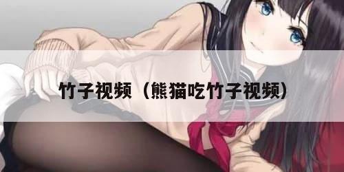 竹子视频(熊猫吃竹子视频)